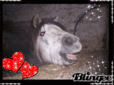 je t'aime kilestbo