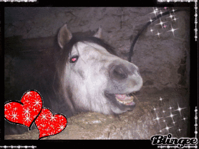 je t'aime kilestbo
