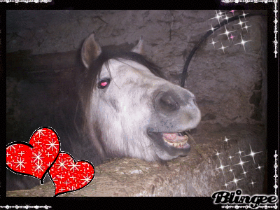 je t'aime kilestbo