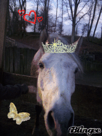 jtm mon t'it prince
