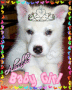 puppylover555321