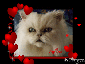 I Love You