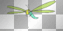 libellule