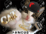 gansta cat
