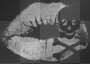 KISS OF DEATH