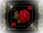 THE ROSE THE ROSE