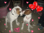 my lil lovers
