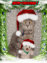 Merry X-Mas