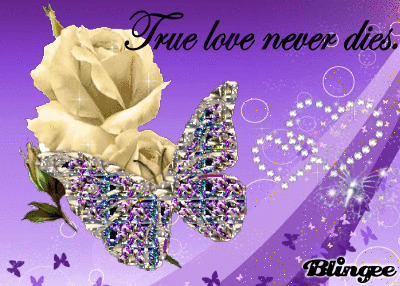 True Love True Love