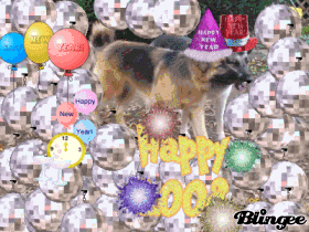 Happy New Year