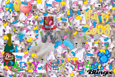 Happy New Year 2008!