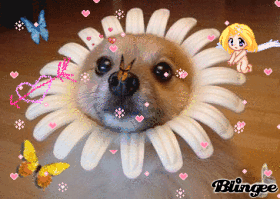 cute