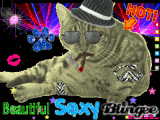 ma chatte sexy ma chatte sexy