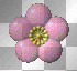spinning flower