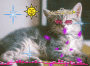 chat