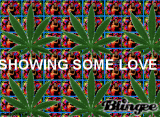 LOVE WEED