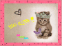 miaOo * * * *