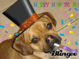 Happy New Year