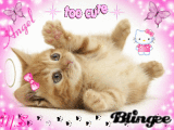 Awwwwwww Baby Kitty