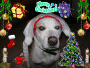 happy chrismas