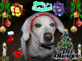 happy chrismas