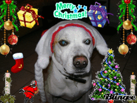 happy chrismas