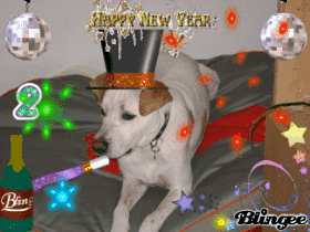 happy new year