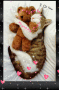 Kitty Cat Nap Kitty Cat Nap