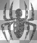 black spider