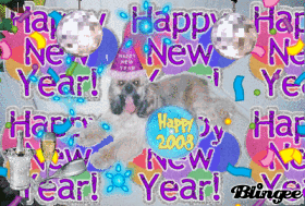 Happy New Year