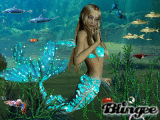 sea life