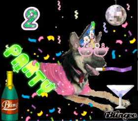NYE 2008