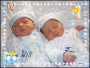 baby twins baby twins