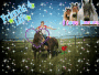 cowgirl_k