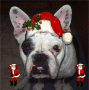 to cute for santa to cute for santa