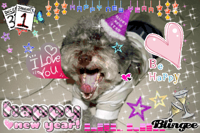 HNY 2008