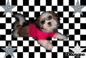 Party like a ROCKSTAR!!!!!!!