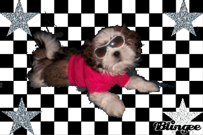 Party like a ROCKSTAR!!!!!!! Party like a ROCKSTAR!!!!!!!
