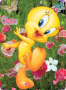 how cute tweety