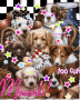puppies
