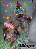 Phoebe & Zeke's NY Eve