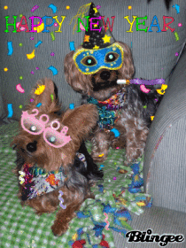 Phoebe & Zeke's NY Eve