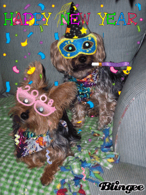Phoebe & Zeke's NY Eve