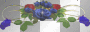 bluerose
