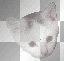 Cat1