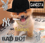 GANSTA