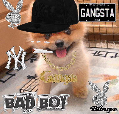 GANSTA GANSTA