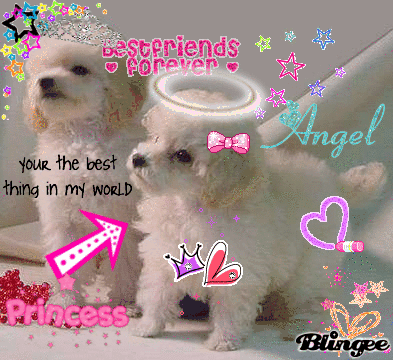 bez frenz 4eva..... Sheryl and Sarah.... hey dun we look like sisterz??