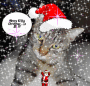 Merry Kitty Christmas !!! To All !!!!!!!