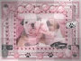 cute dogs